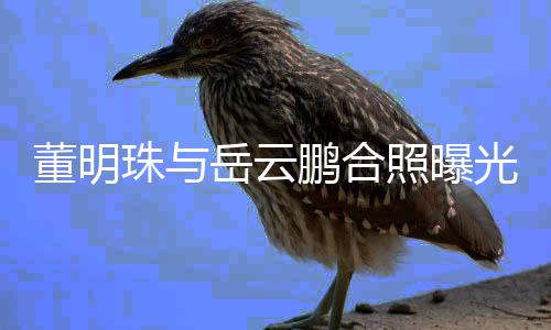 鹏合岳云疑似一档艺董明新的类综合作珠与照曝职场光